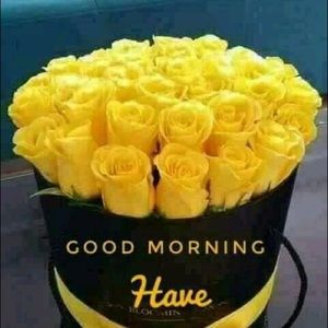 Meet your Posher, Davina